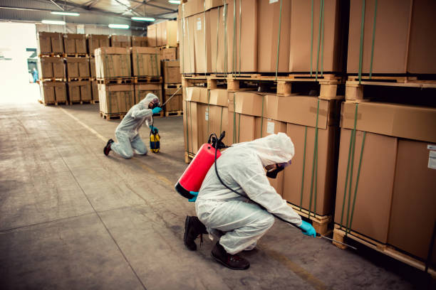 Best Cockroach Control Services  in Russellville, KY