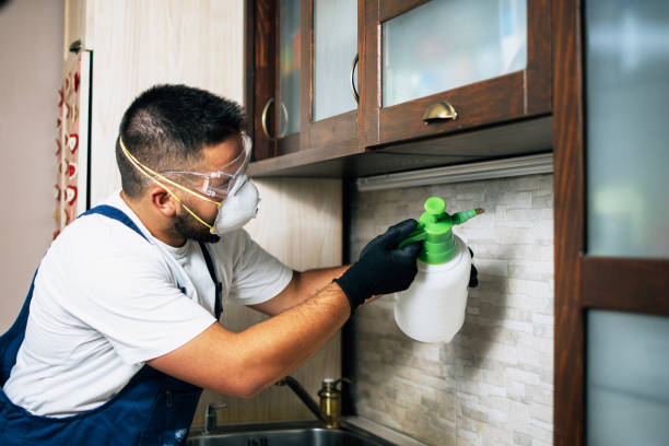 Pest Prevention Services in Russellville, KY
