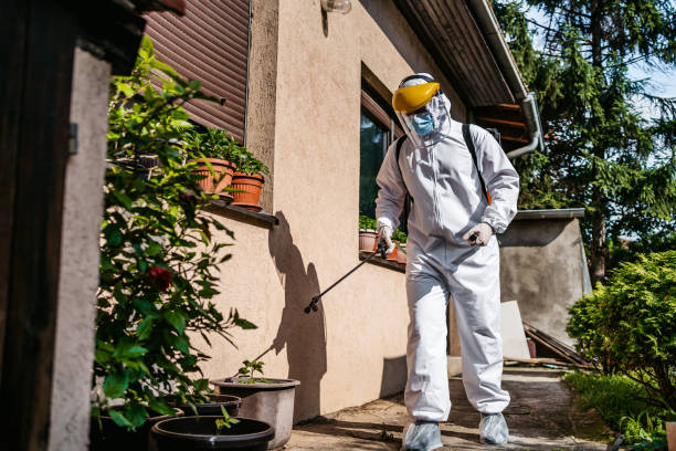Trusted Russellville, KY Pest Control Experts