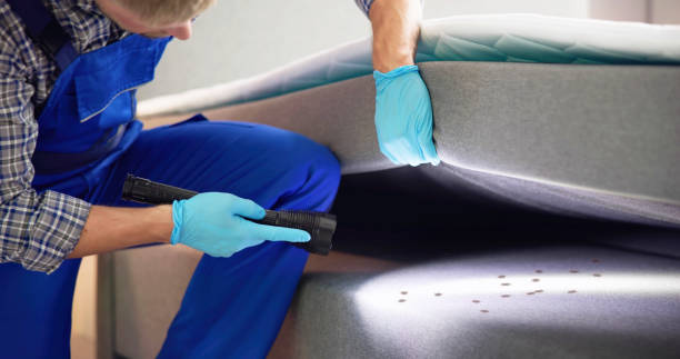 Best Best Pest Control Companies  in Russellville, KY