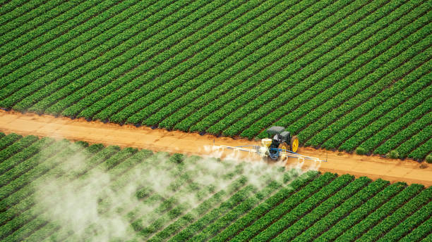 Best Local Pest Control Services  in Russellville, KY
