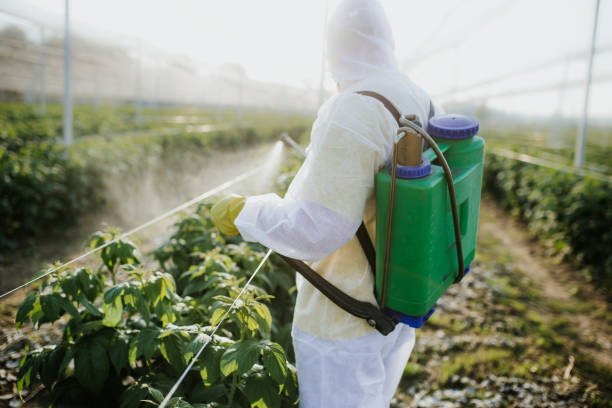 Best Pest Control Near Me  in Russellville, KY